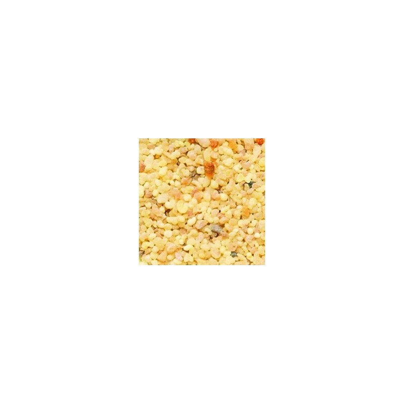 Encens grains Larmes Soudan - Oliban - Boîte de 100 grs