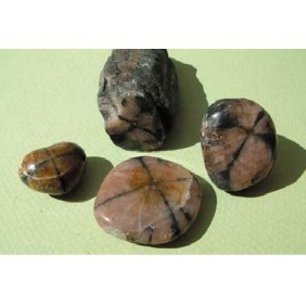 Chiastolite Bille